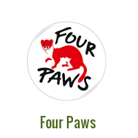 Four Paws